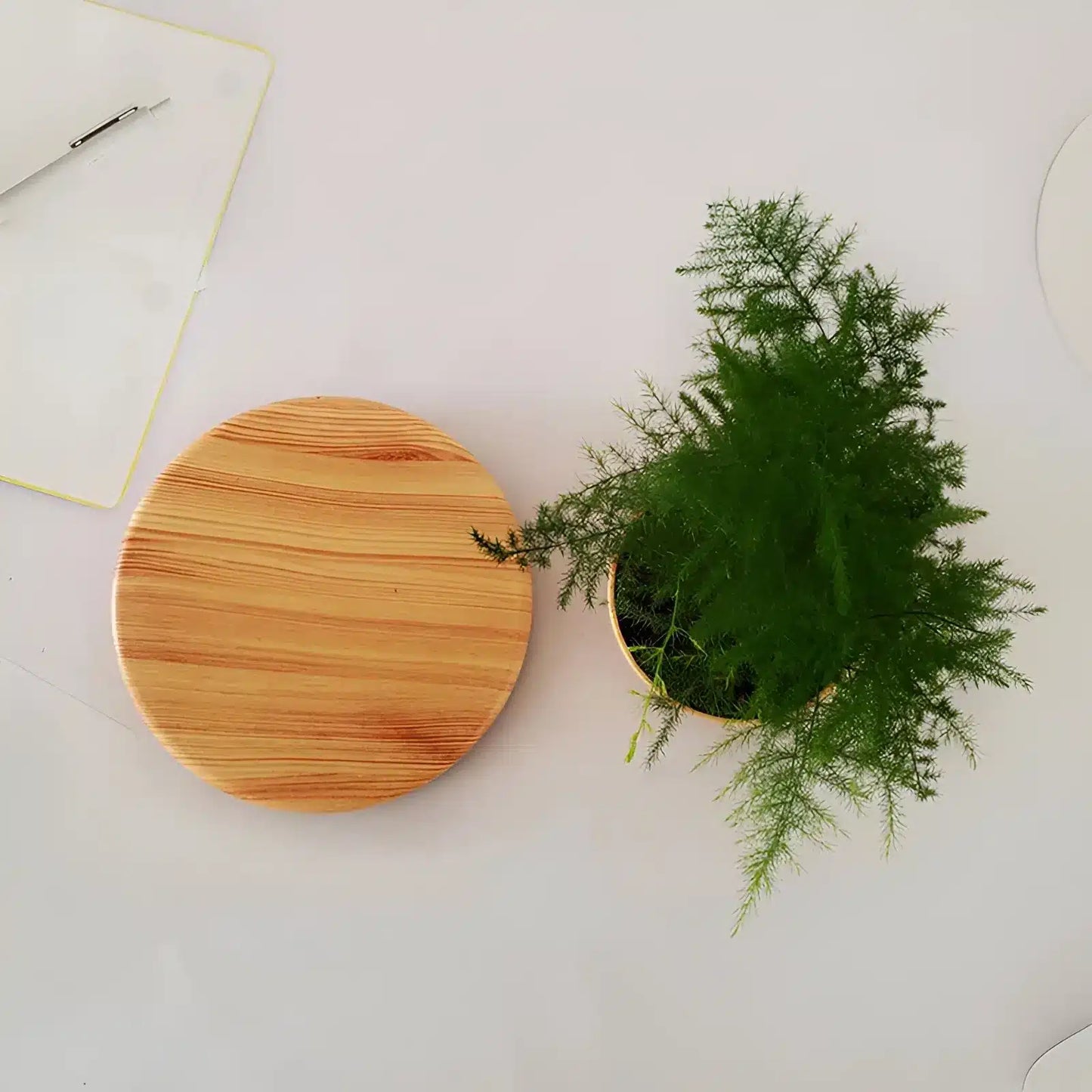 Plante Flottante avec Pot de Bonsaï à Suspension Magnétique Rotative pour Salon