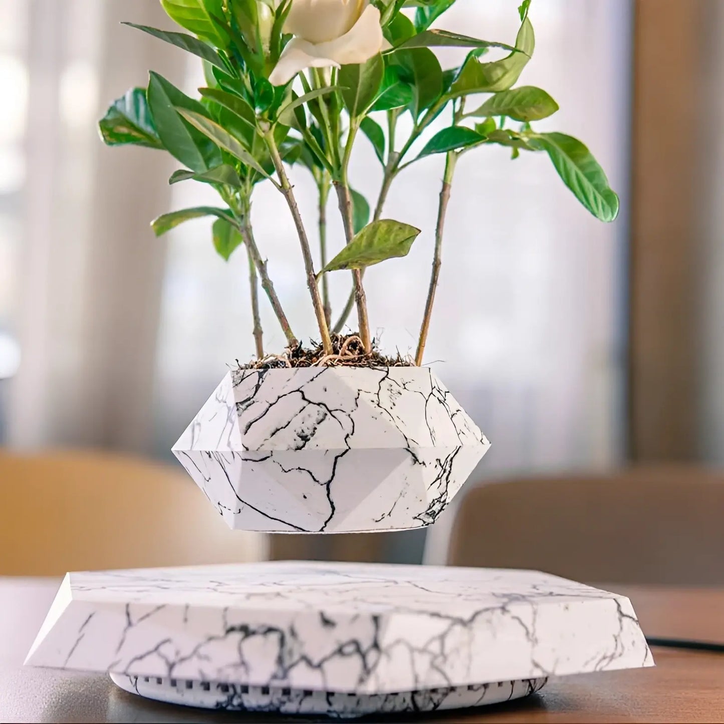 Plante Flottante avec Pot de Bonsaï à Suspension Magnétique Rotative pour Salon