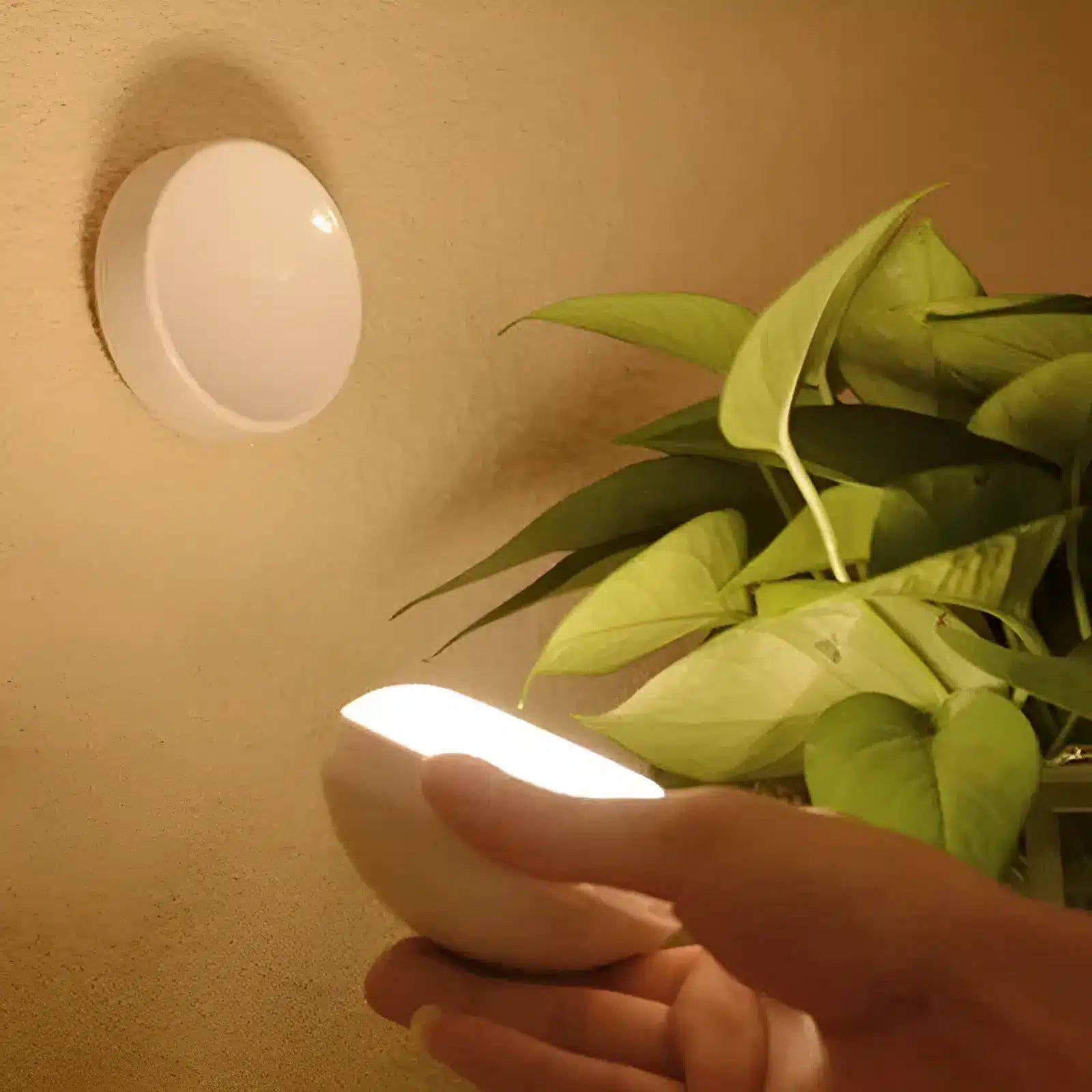 Lampe Murale Sans Fil Rechargeable avec Capteur de Mouvement USB - Luminenza - Blanc