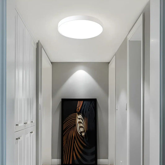 Plafonnier LED Minimaliste - Éclairage Décoratif d'Intérieur