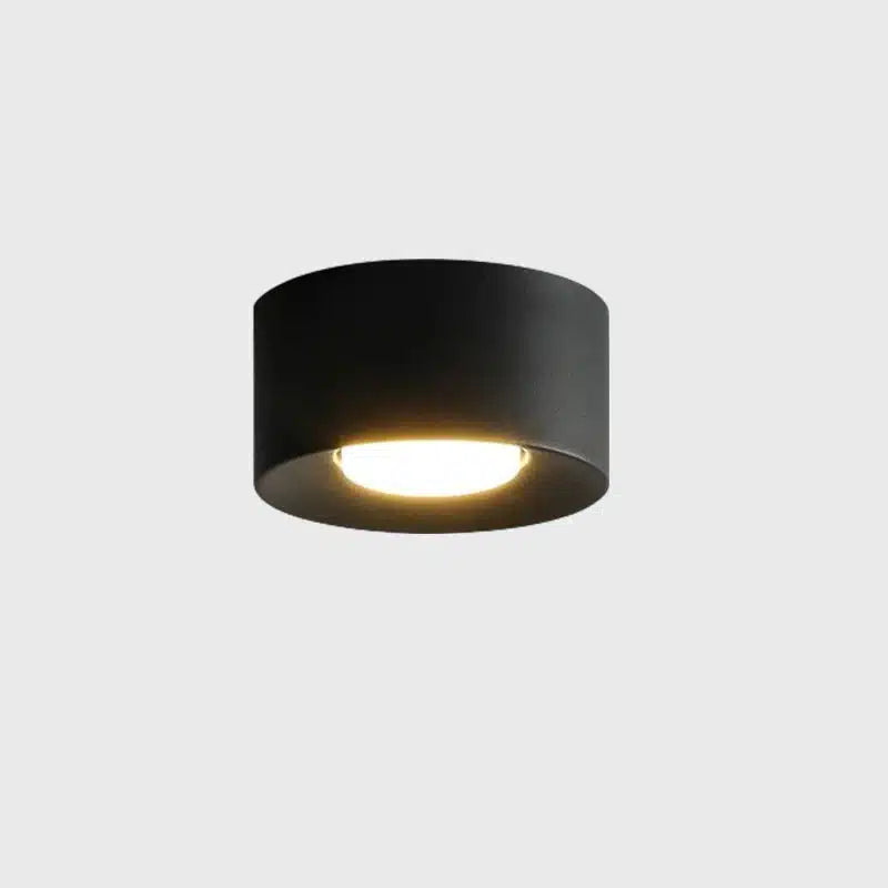 Plafonnier LED Moderne multiforme en fer et acrylique pour salon