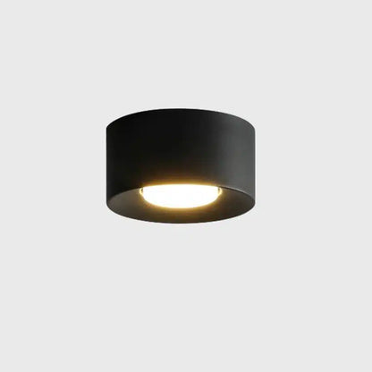 Plafonnier LED Moderne multiforme en fer et acrylique pour salon