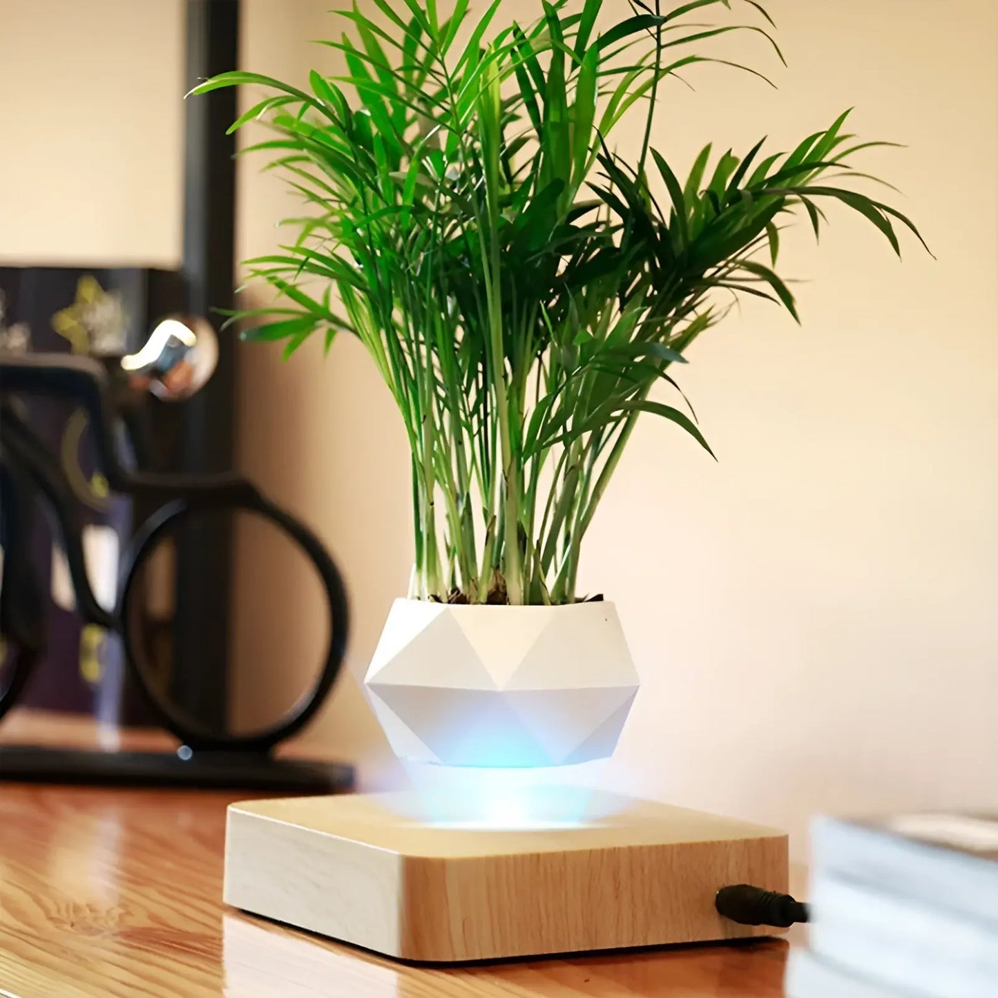 Plante Flottante avec Pot de Bonsaï à Suspension Magnétique Rotative pour Salon