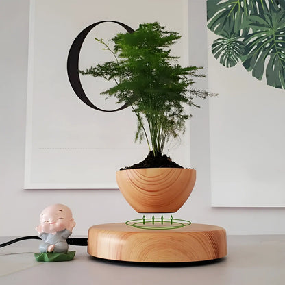 Plante Flottante avec Pot de Bonsaï à Suspension Magnétique Rotative pour Salon