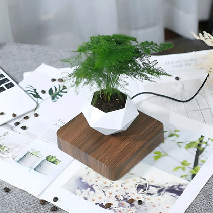 Plante Flottante avec Pot de Bonsaï à Suspension Magnétique Rotative pour Salon