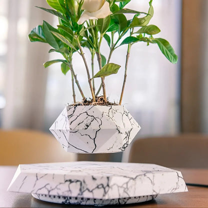 Plante Flottante avec Pot de Bonsaï à Suspension Magnétique Rotative pour Salon
