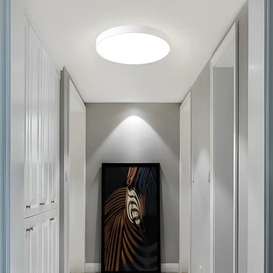 Plafonnier LED Minimaliste - Éclairage Décoratif d'Intérieur - Luminenza - Blanc