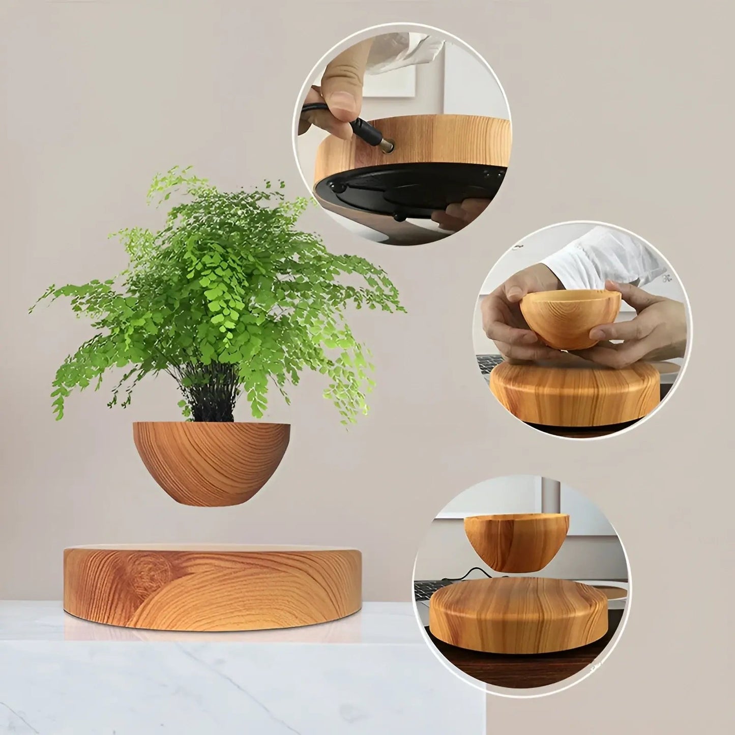 Plante Flottante avec Pot de Bonsaï à Suspension Magnétique Rotative pour Salon - Luminenza - Bois