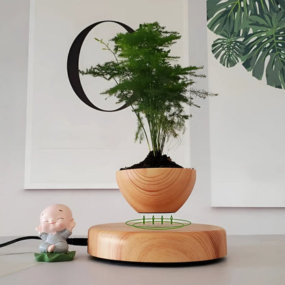 Plante Flottante avec Pot de Bonsaï à Suspension Magnétique Rotative pour Salon - Luminenza - Bois