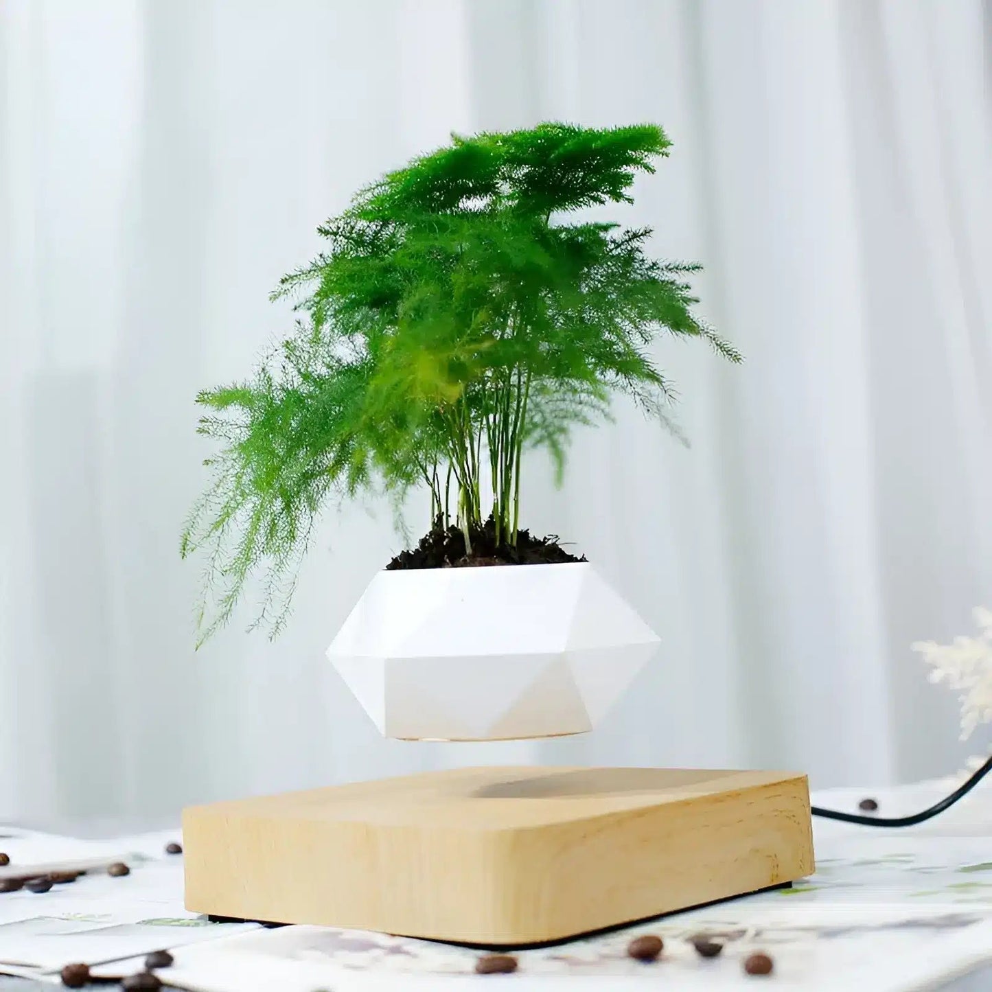 Plante Flottante avec Pot de Bonsaï à Suspension Magnétique Rotative pour Salon - Luminenza - Bois clair