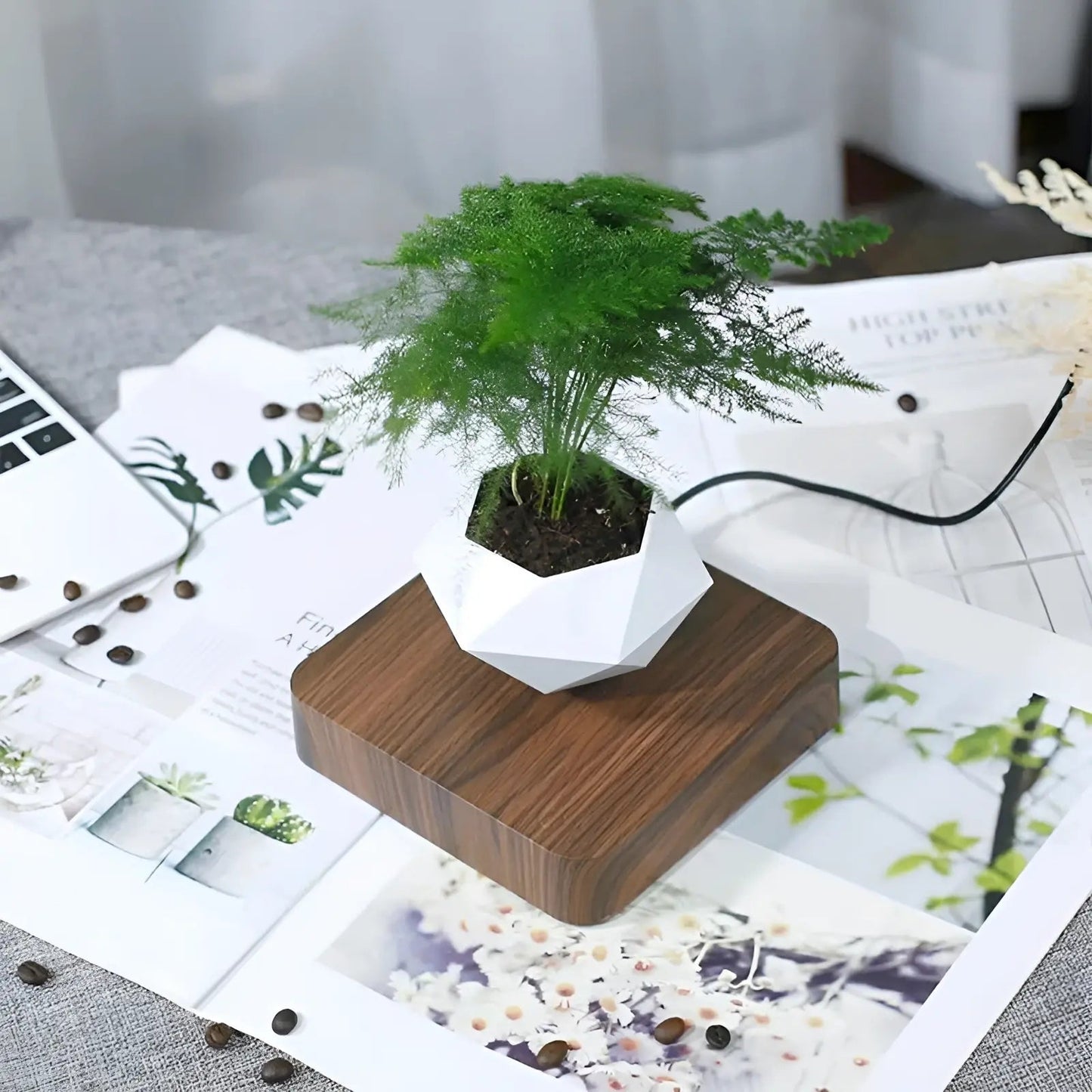 Plante Flottante avec Pot de Bonsaï à Suspension Magnétique Rotative pour Salon - Luminenza - Bois de noyer